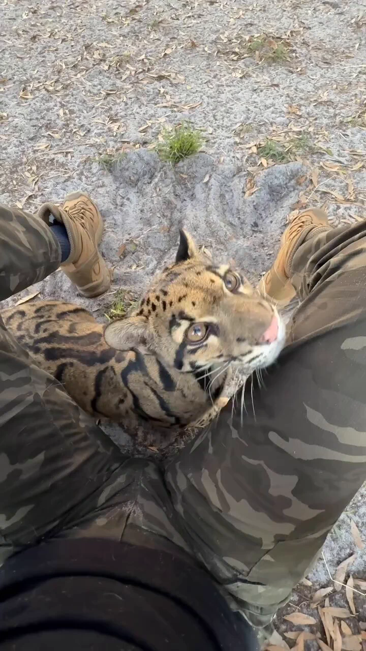 Bro got the hug everyone wants 🥹 https://t.co/e6DTCGuScv