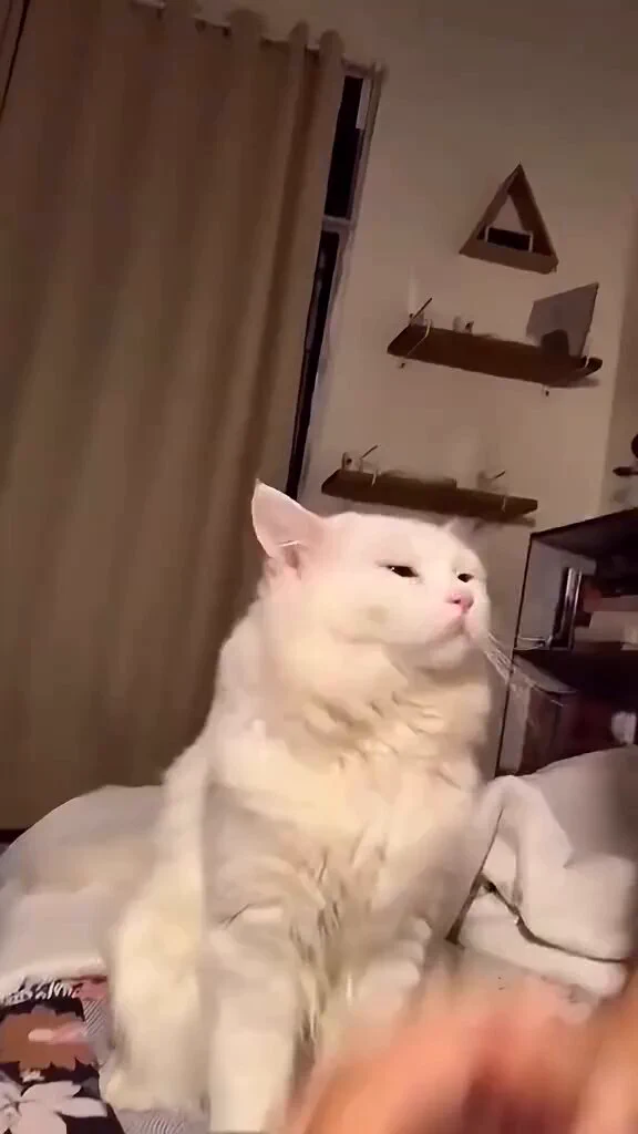 heyy! don't touch ✋😂 https://t.co/AsrzqOi0Fp