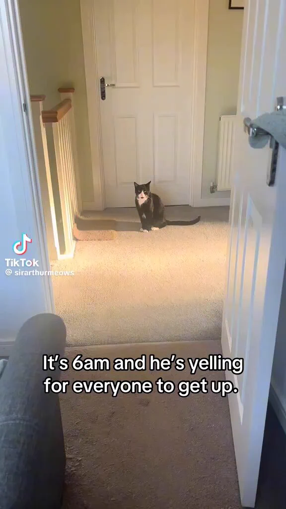 a proper old man announcing that it’s time to rise and shine https://t.co/1UnDPLnMQQ