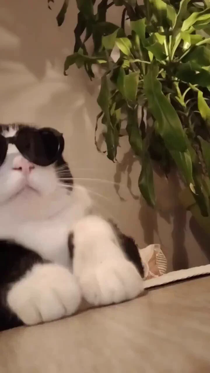 DJ CATTO https://t.co/qCBGcxtOPo