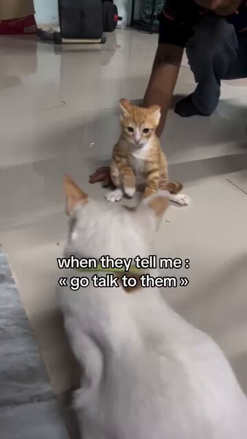 moving jim like a chess piece 😭 https://t.co/r14QkebaS3