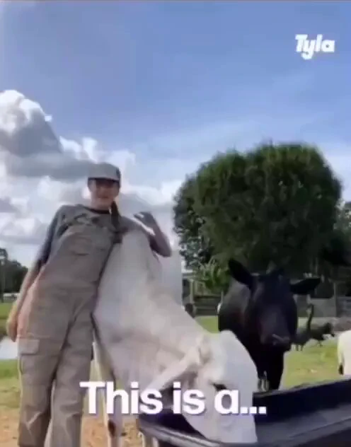 I could watch 9 seasons of this 😂 https://t.co/IiOyijmMgA