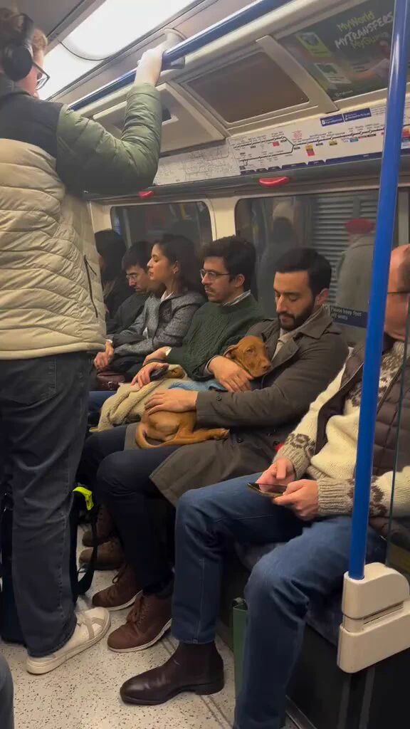 The cutest thing I’ve seen today 😩 https://t.co/AjhbbjZO6u