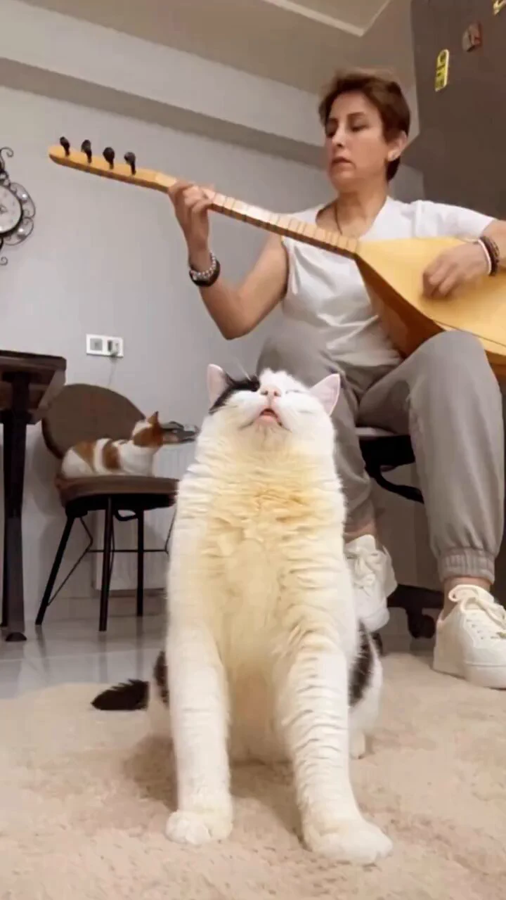 he almost fainted from his voice beyond amazing  🥹 https://t.co/9U72Gm3MBw