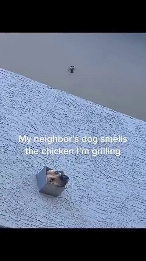 LMFAOOO https://t.co/GsFCWptNuz