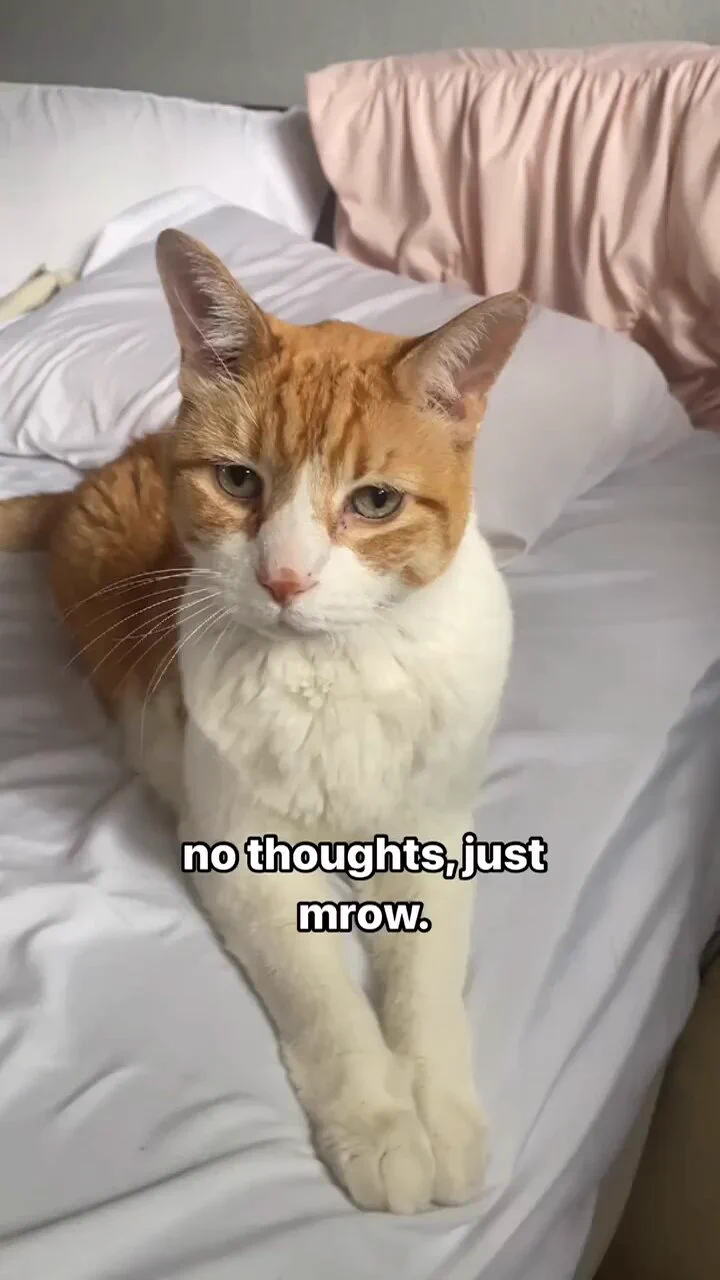 https://t.co/5AroOujJop