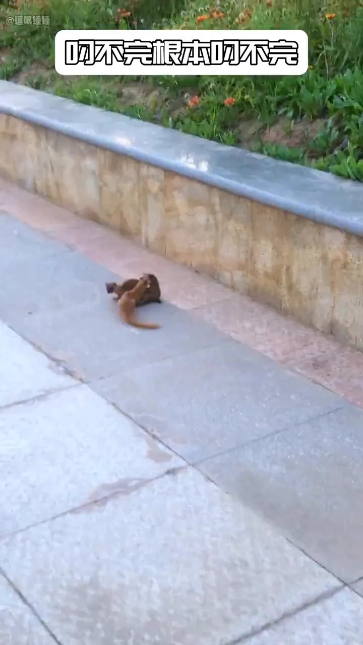 Stuck in an infinite loop.🤣🤣 https://t.co/qESkK08m5s