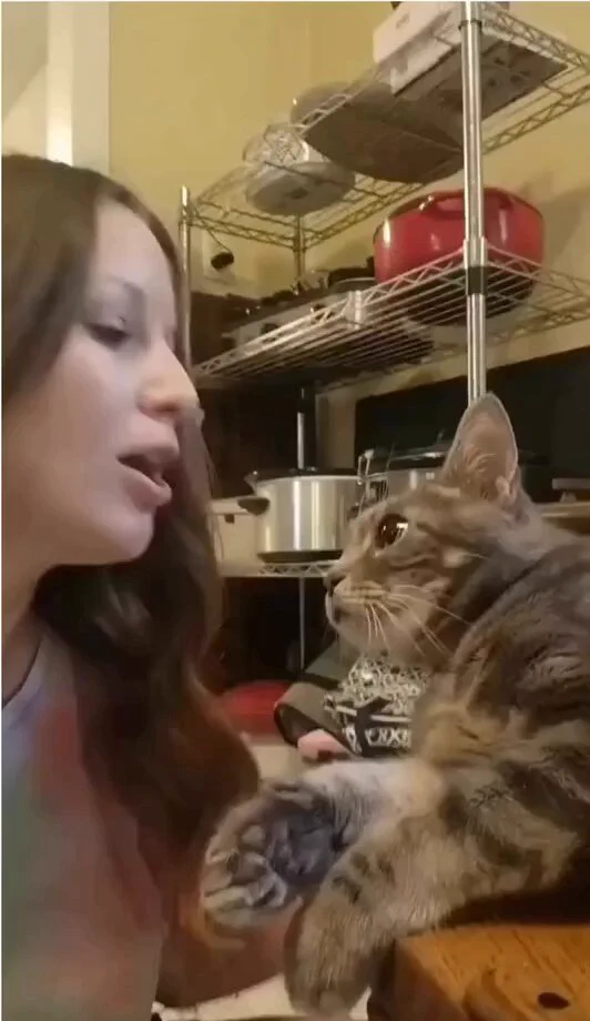 bro had enough of her yap https://t.co/yxa5r92qJy