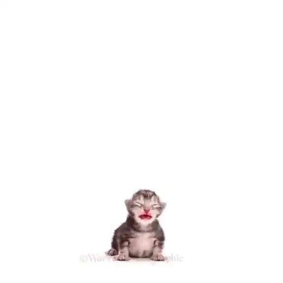 https://t.co/9LvS7yeN8V