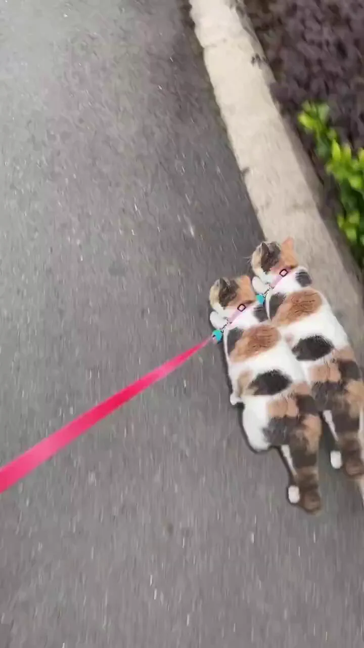These twins are in sync 🥹 https://t.co/112JPAep1D
