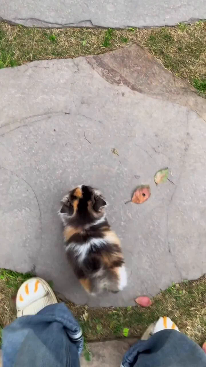boink boink https://t.co/lTCtdFgxQW