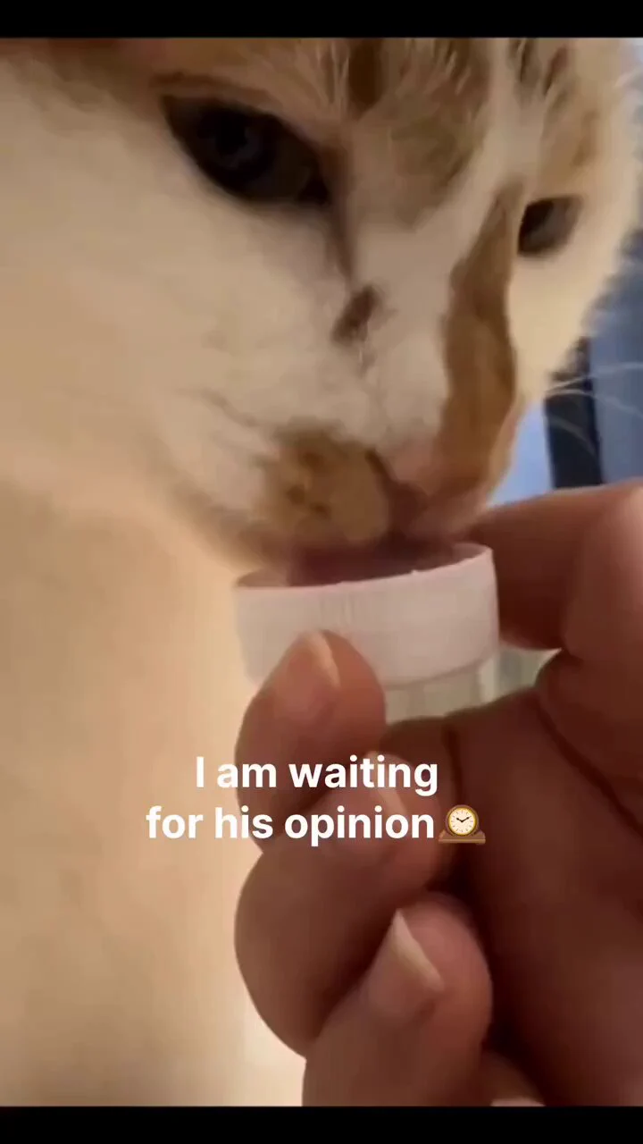 Legend says he's still waiting https://t.co/aT1YfQyPRD