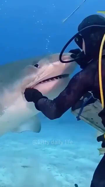 Funny ocean https://t.co/07kUWJKnqP