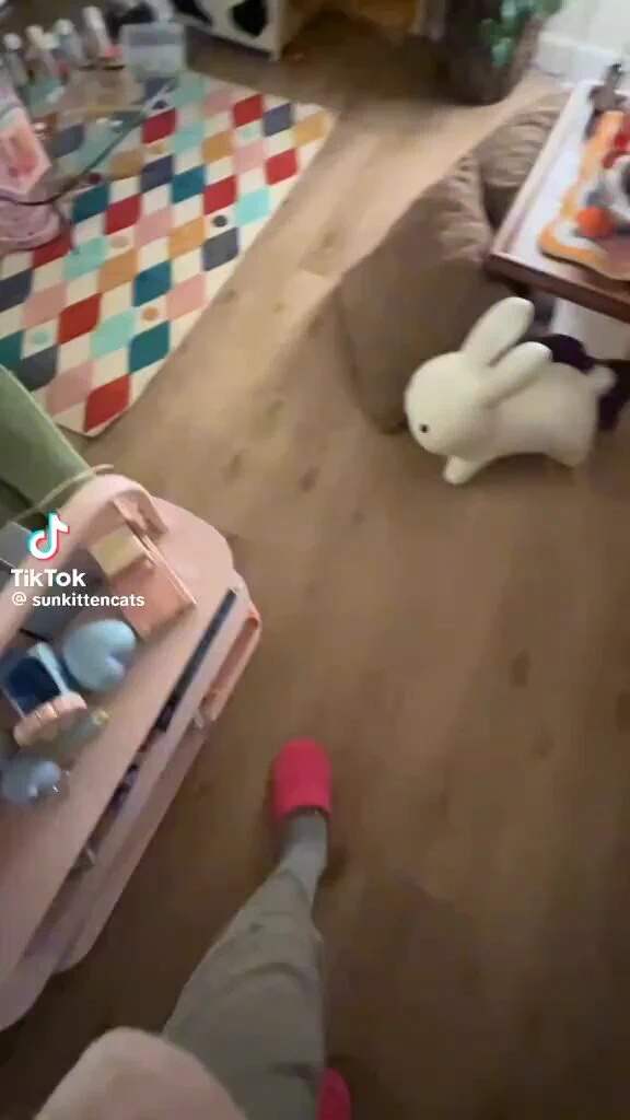 baby car https://t.co/5zfTq55U1r