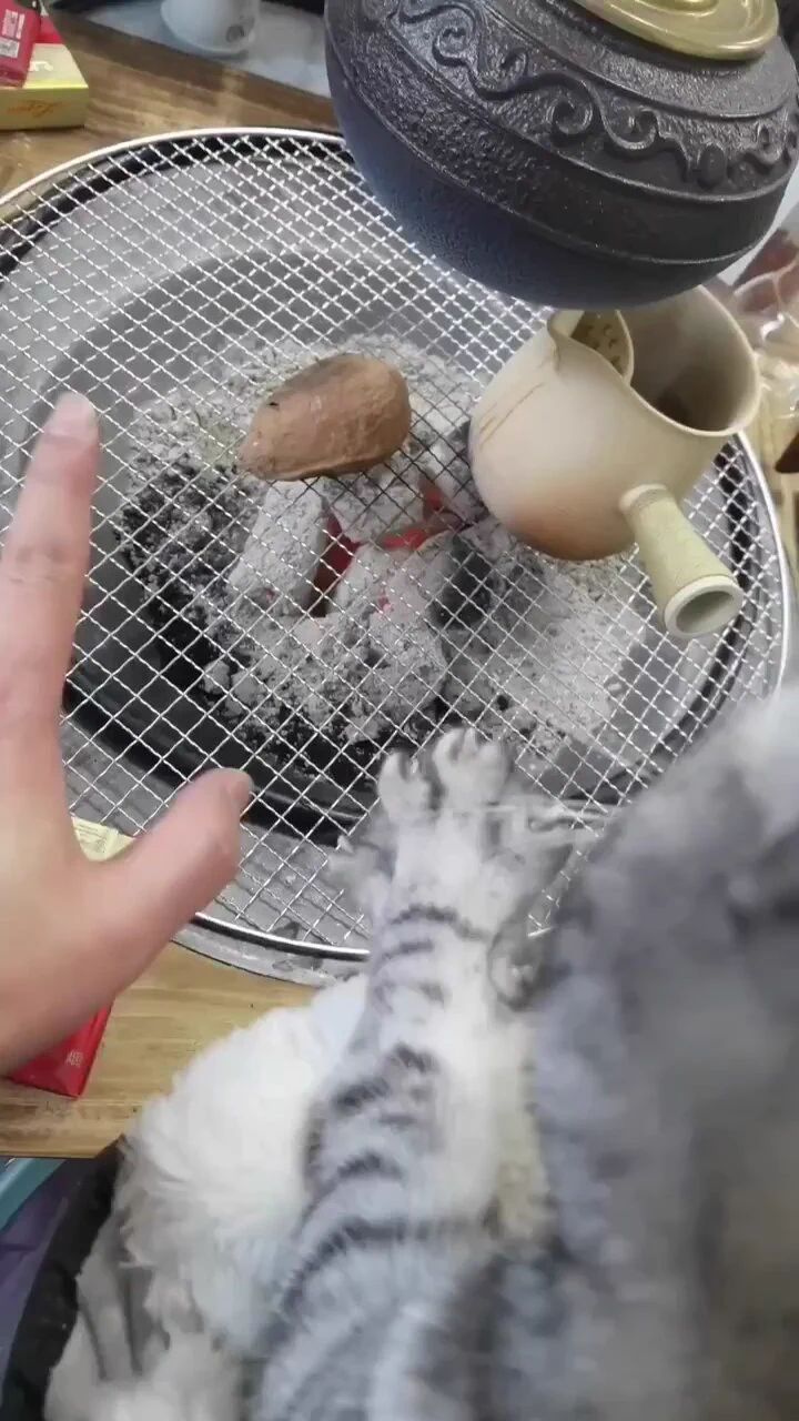https://t.co/n0I1OMOSGg