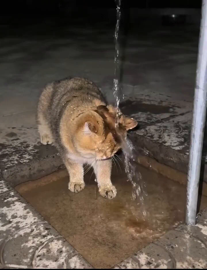 Why??? 🥹 https://t.co/Y2huxqHvHX