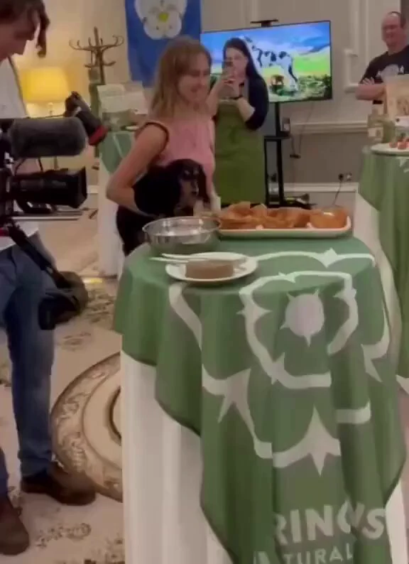 https://t.co/PEboneBpQW