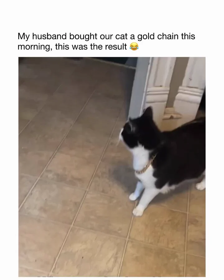 https://t.co/lBO3eY2rqR