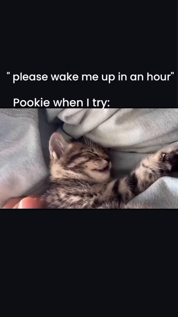 https://t.co/JvfufoohYe