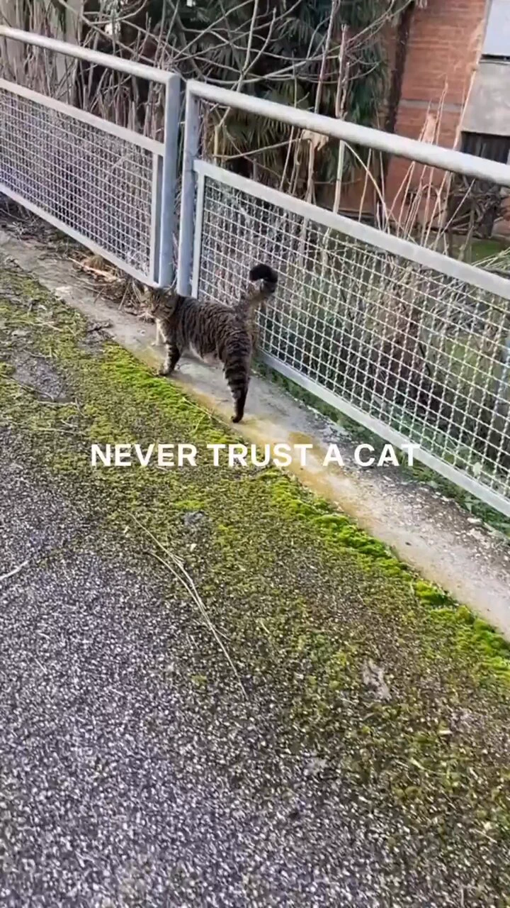 https://t.co/uUCHirGxFe
