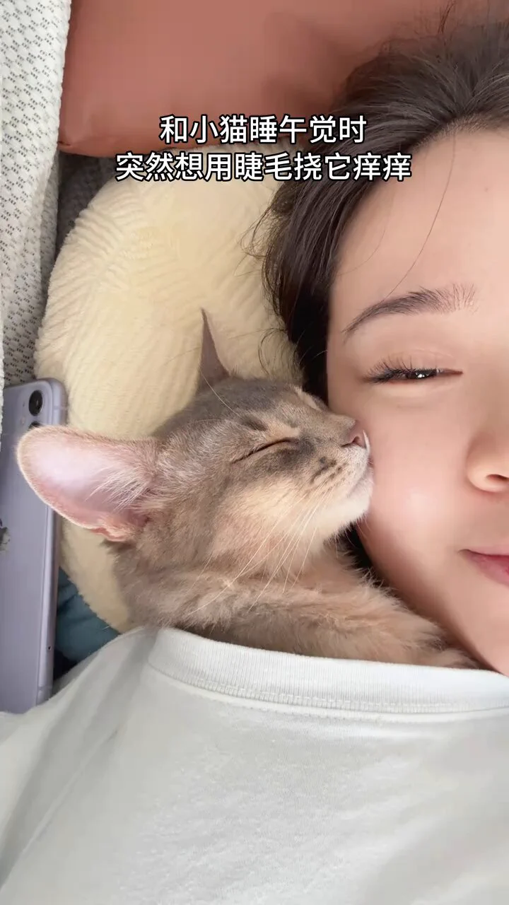 她家的小茂密睡觉时是怎么做到又萌又老实的🥹🥹这也太幸福了吧？？🥰🥰 https://t.co/tNyjIbKNc0