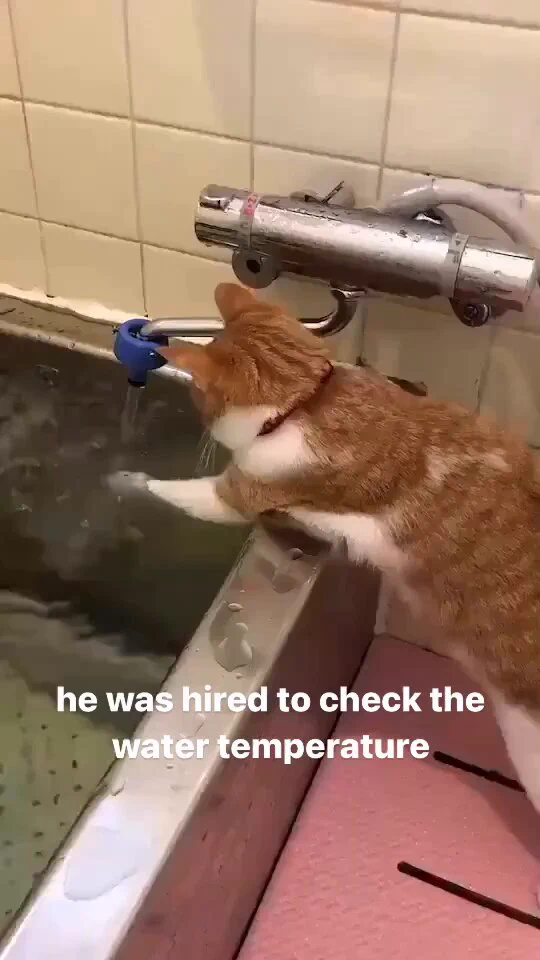 https://t.co/CN26CMyPYs