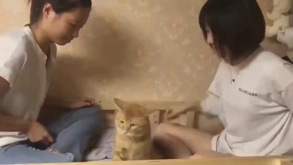 可怜的汤姆被玩弄于股掌之间🤭🤭 https://t.co/WQIN9iOmV5
