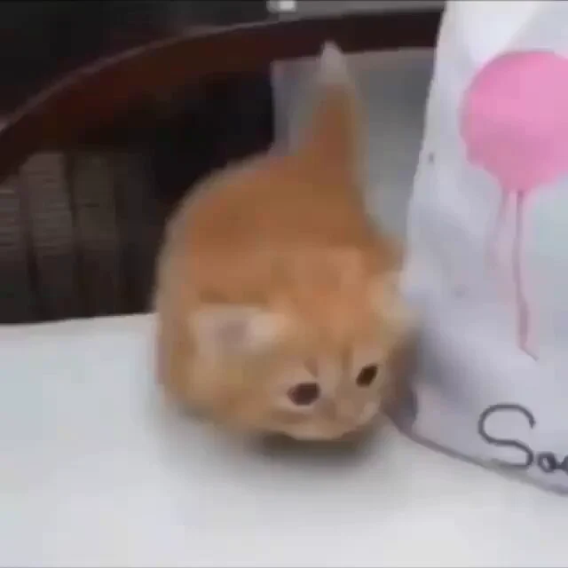 https://t.co/mCkN9bkZKA