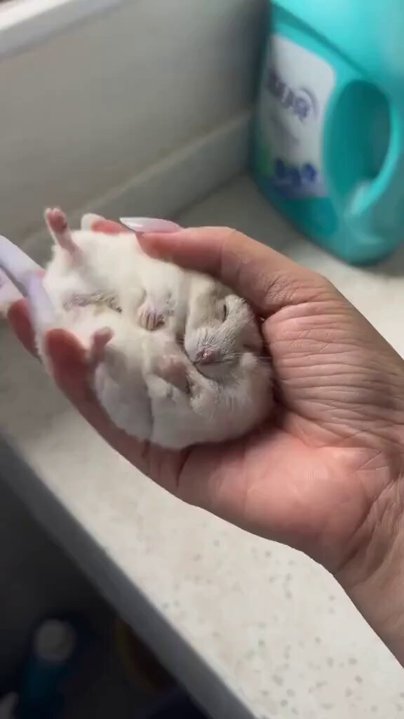 Ball 🏐 https://t.co/vay80qe2kx