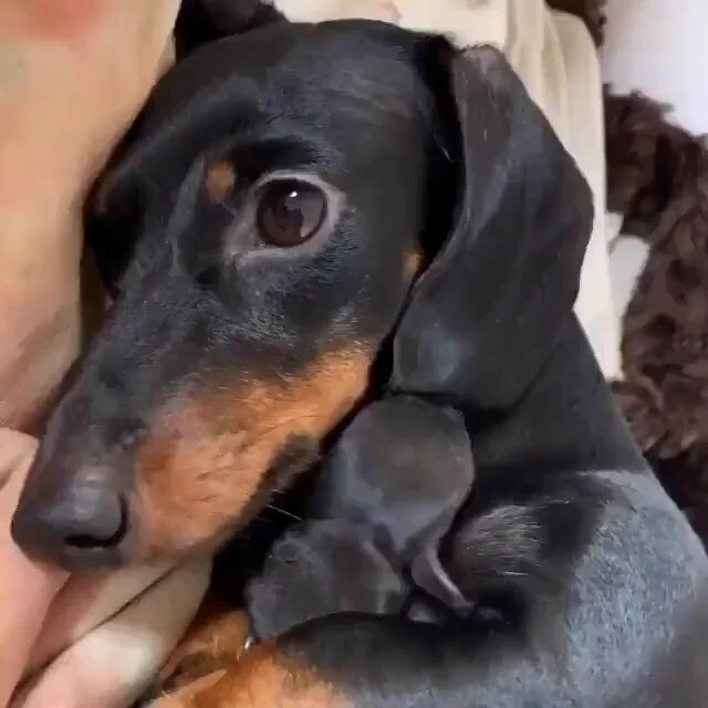 https://t.co/8y7zPPUmmh