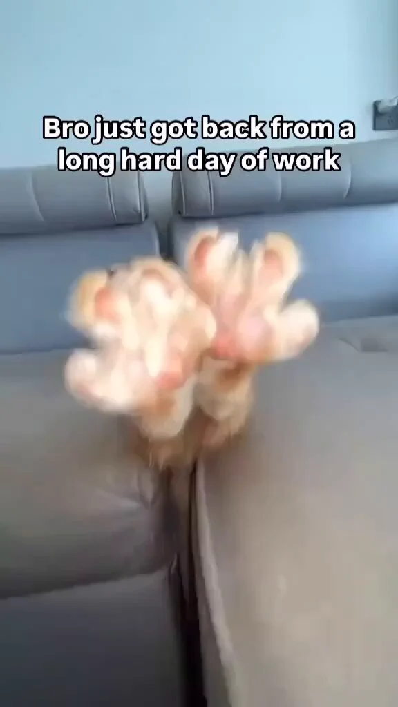 https://t.co/KTe9fcZhJf