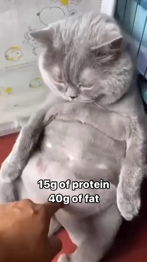https://t.co/i5auXub490