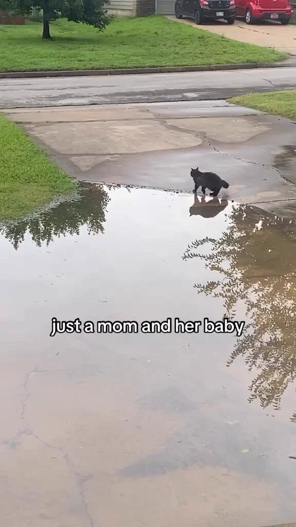 awwww 🥹 https://t.co/An30Oyu0zV