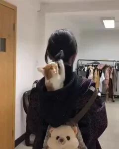 https://t.co/K7W1tF9tYn