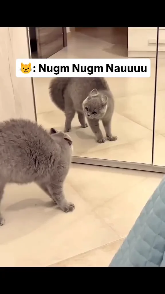 😭 https://t.co/CP78o6h8Pi