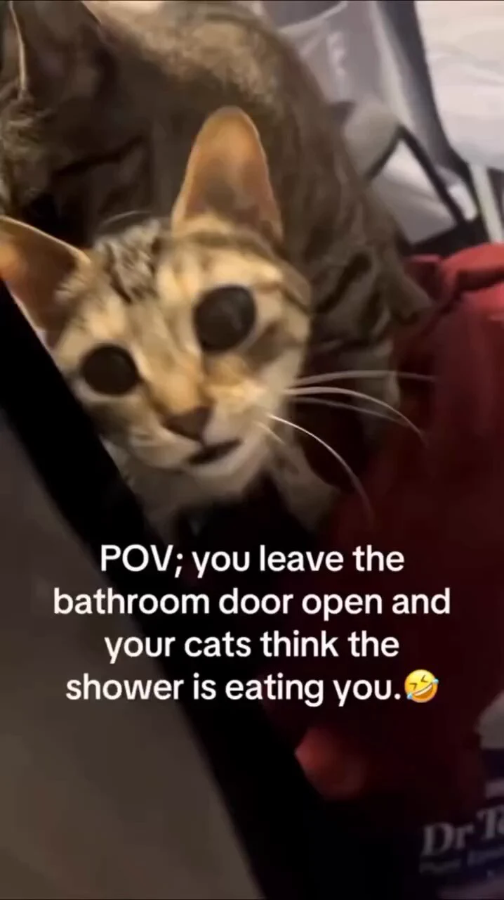 😂 https://t.co/RQE3nMMnyU
