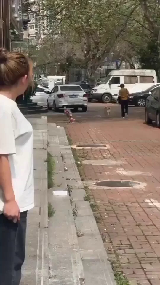 https://t.co/W09DSJQwg8