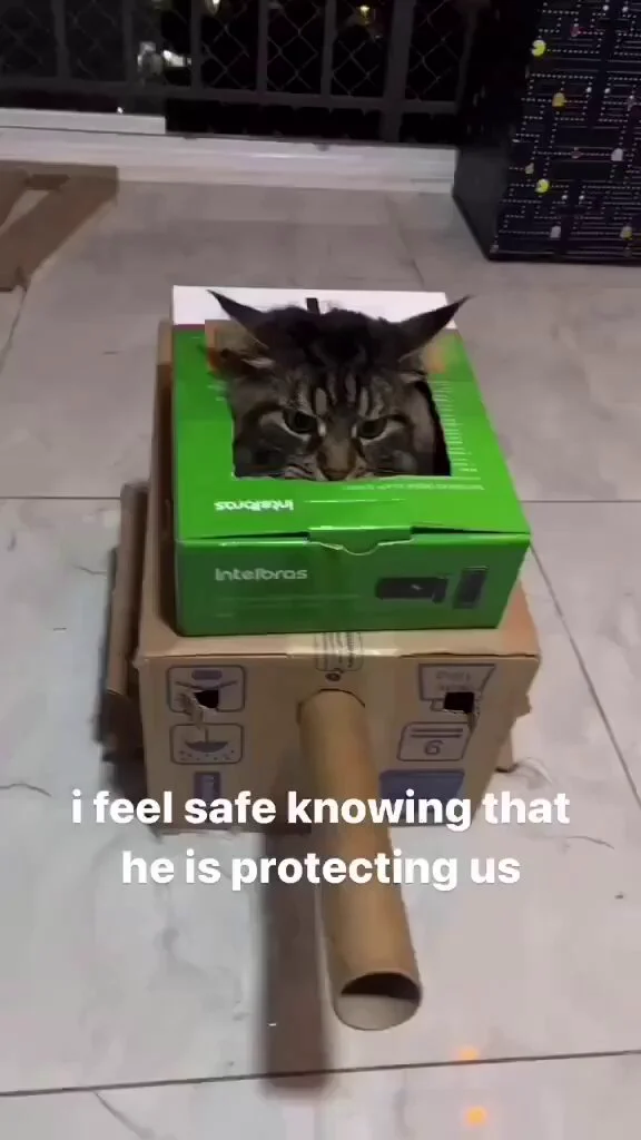 https://t.co/2S7MBNvbUk