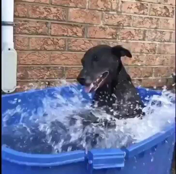 https://t.co/rcjvFlG3yX