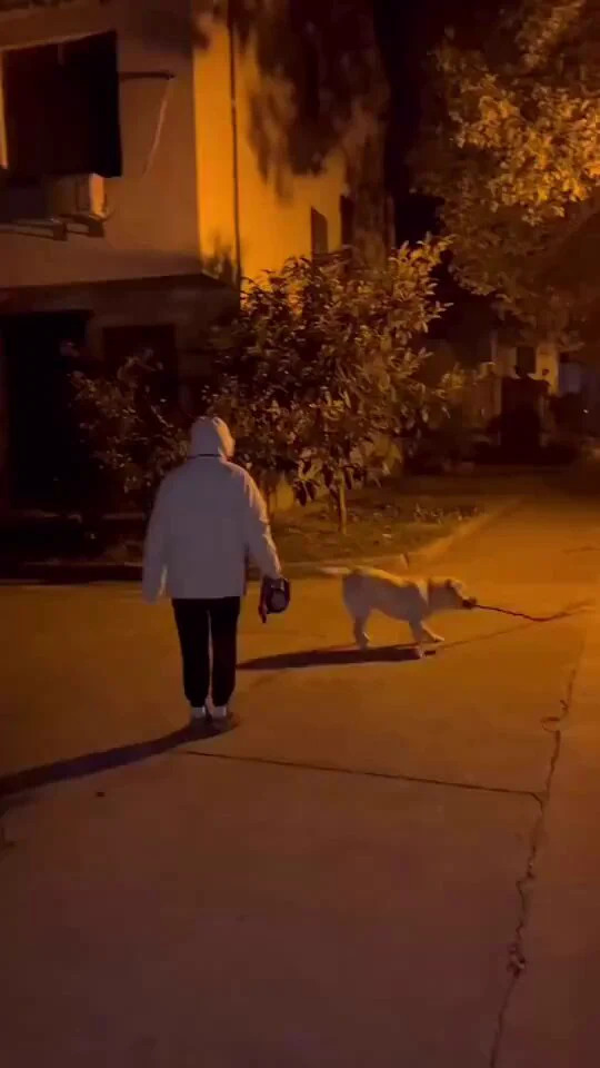 https://t.co/g2xumTpC0N