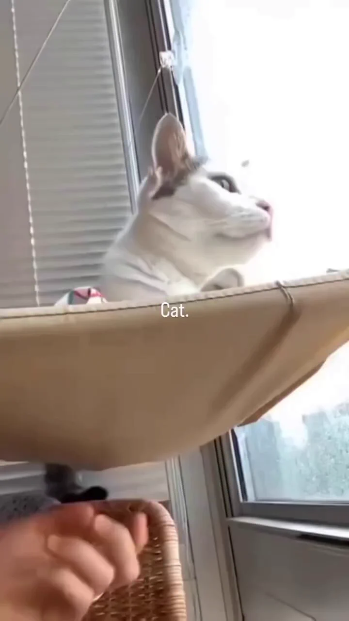 😂 https://t.co/kyqf93c3Di