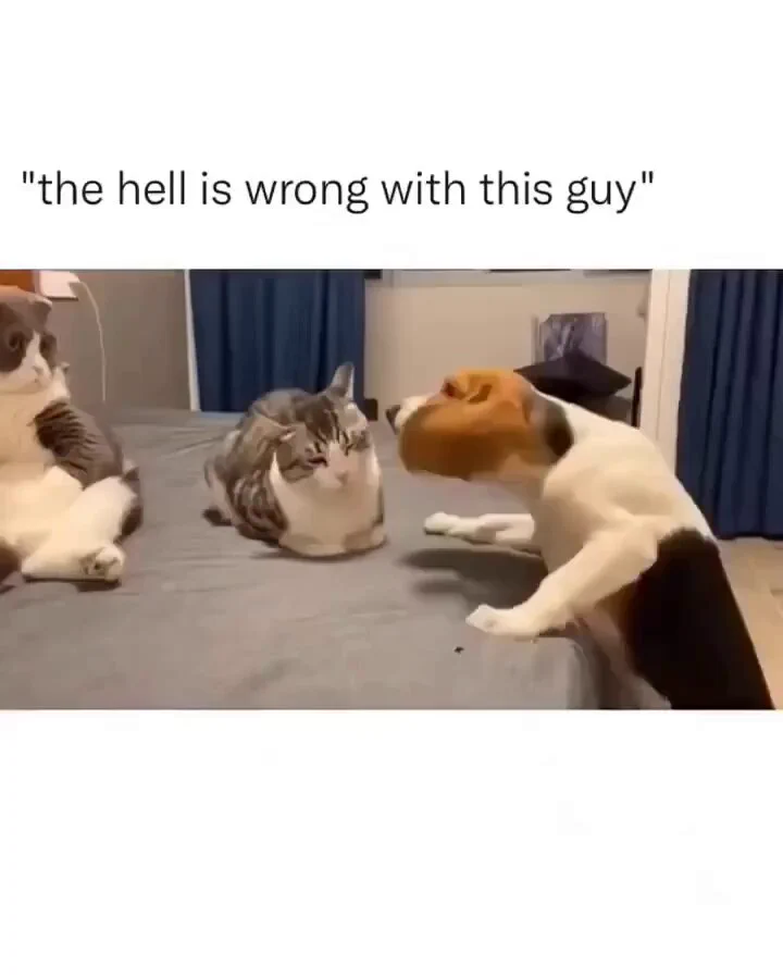 https://t.co/eG6gYmnb5g