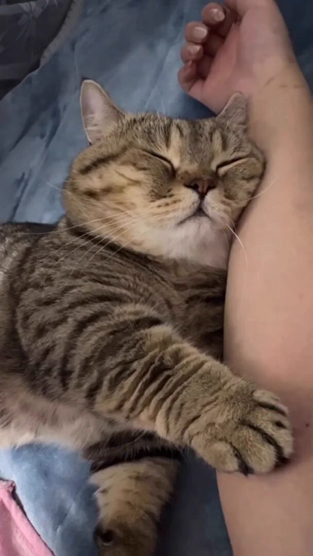 😴😴😴 https://t.co/it3CZ8MbWD