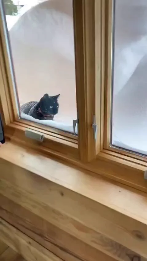 omg https://t.co/WW01PiPbaQ