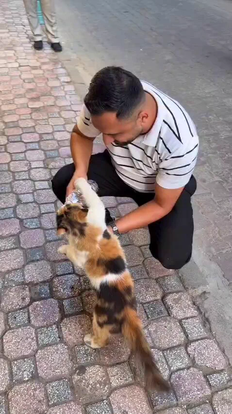 aww https://t.co/ZSCJWYsqOV