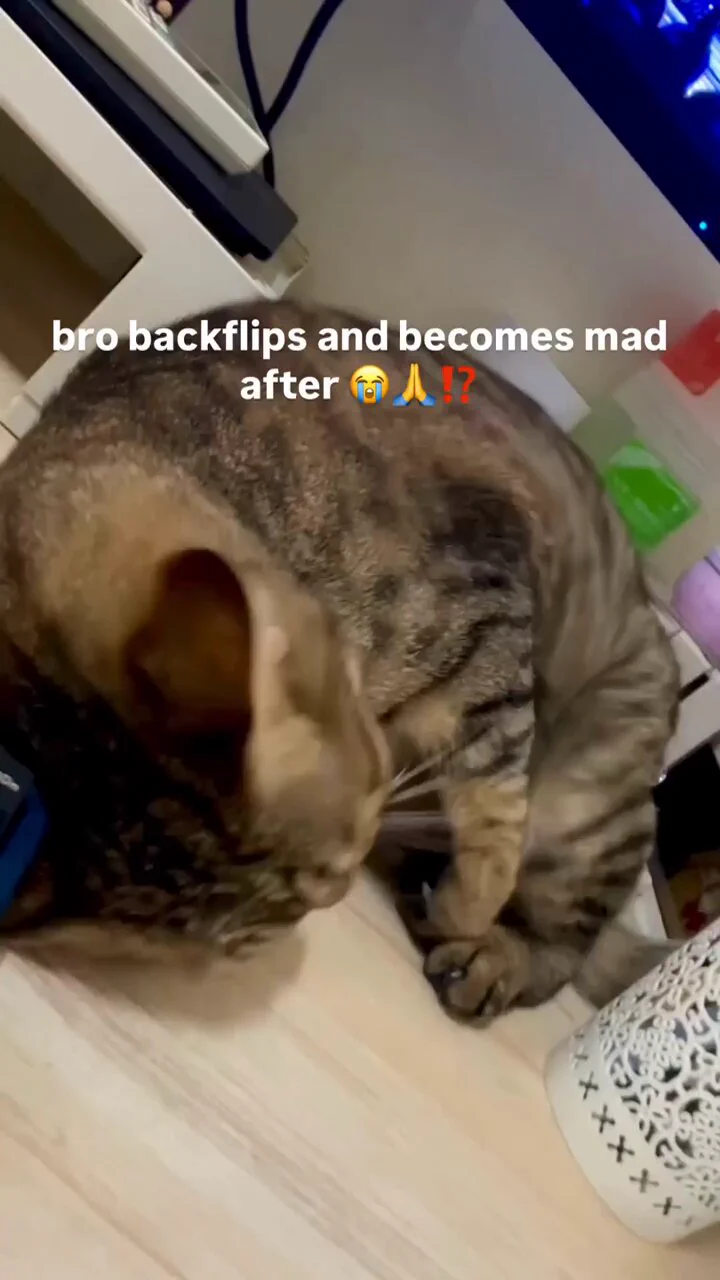 https://t.co/VfJM9AS5yV