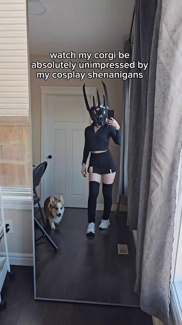 Corgi reactions are hilarious I love my boy so much 💙 https://t.co/bpqfOqPS4D