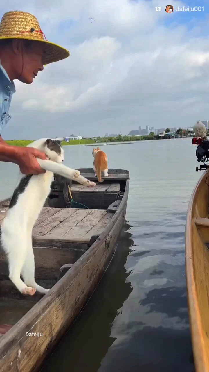 I didn’t know this life was an option https://t.co/0ZcrXOKBej