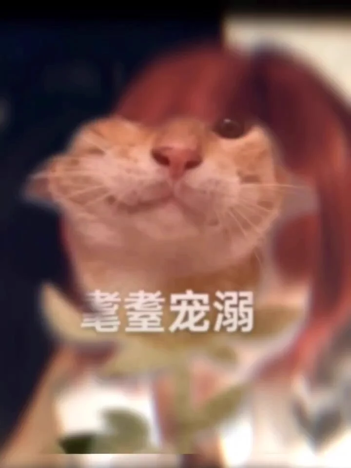耄耋电影厂-run away?ccb😠
人力驱动神明,电力变成光子。
面对男娘,直面它,随心所欲,随心所欲,随心所欲😠,嗯,哼,哼,哼😠
下肢缺乏力量怎么办,那就去https://t.co/kpaDLsY3g2,购入锻炼神器,电力补充精力,给你不一样体验。天猫店铺哦
@illusionclub_
@livevil20271629
#男娘 #伪娘 #cosplay https://t.co/hX6IfxpQMX