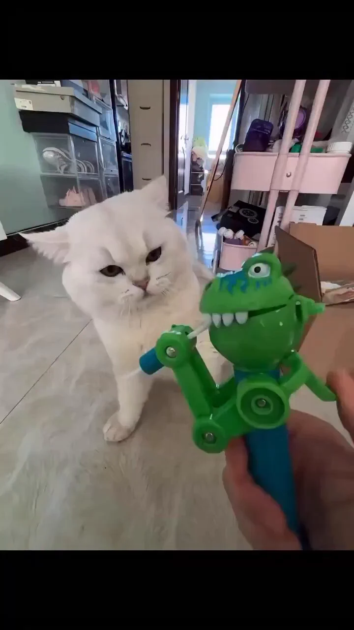 Car is angy 🤣 https://t.co/BU7Eo0zA5G